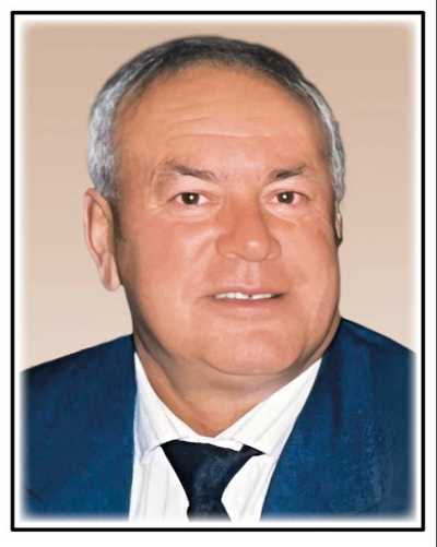 PICCHIANTI, Domenico