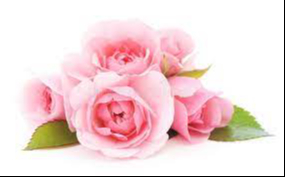 POYNTER, Shirley Joy