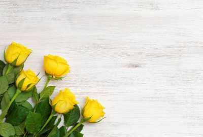 PALMROSE, Melva Jean