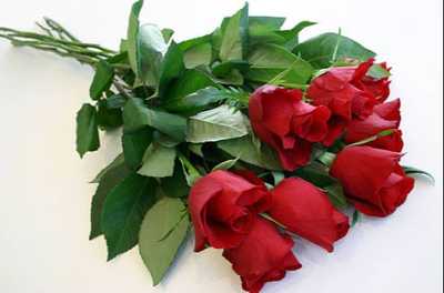 CROWHURST, Brenda Pauline