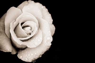 LONGLEY, Violet Jessie