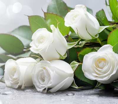 JEFIMOVS, Marta Magdalene