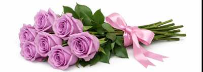 PHILLIPS, Shirley Joyce