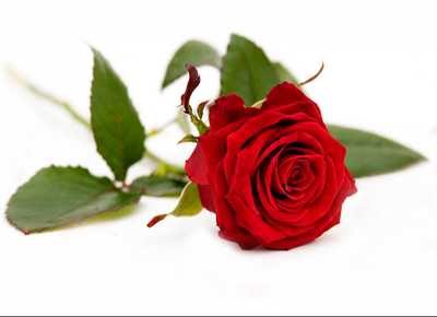 GERLACH, Barbara Nancy