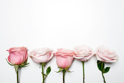 PERERA, Annie Ah Mooi