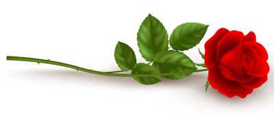 KELLY (NEE HART), Monica Beatrice