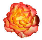 EDWARDS, Dorothy Mona