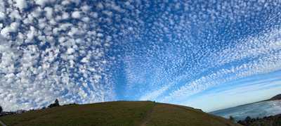 AMBROSE, Anne Christine