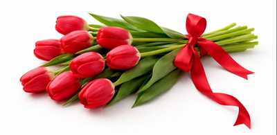 JENZEN, Berendina Hermina