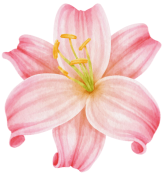 LAHERTY, Carmel Rose