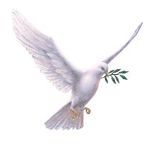 CLARK, John Raymond "Ray"