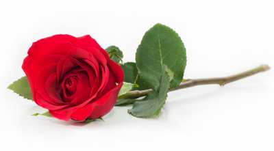 LEWIS, Joan Patricia