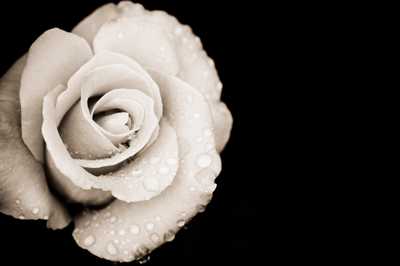 O'DONAGHUE (TULLIS), Yvonne Joyce