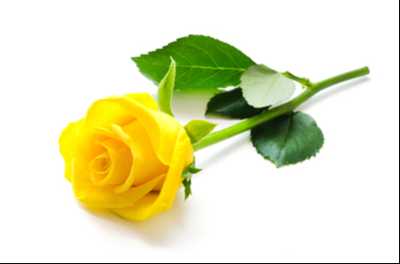 PORTBURY (NEE BRADFORD), Kelli