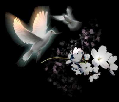 CLARKE, Maureen Rose