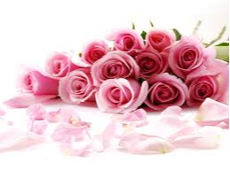 ANDERSEN, Violet Kathleen