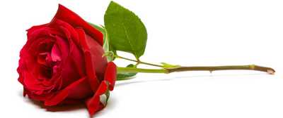 BRIGGS, Barbara Jean