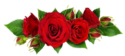 PACHE, Natasha Marie