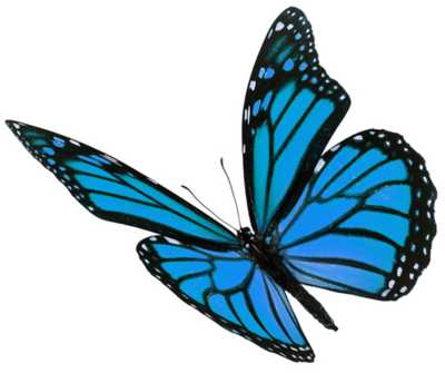 GILBERT, Daniel Stephen