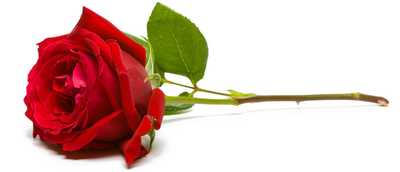 SHANAHAN, Frederick Timothy