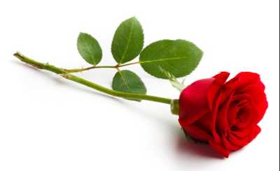 OSBORNE, Barbara "Barbie"