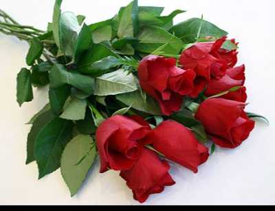 UPTON NEE BANKS, Anne (Annie Maud)