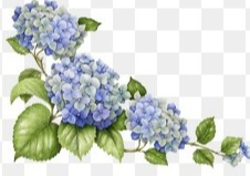 GOETZ, Pauline Therese