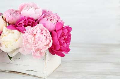 RIGONI, Maria Teresa