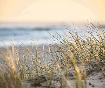 WITHINGTON, Christopher James