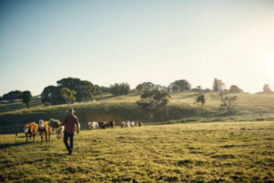 CROWHURST, Charles Frederick