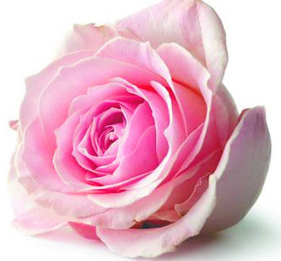RUSSELL, Lorraine Barbara