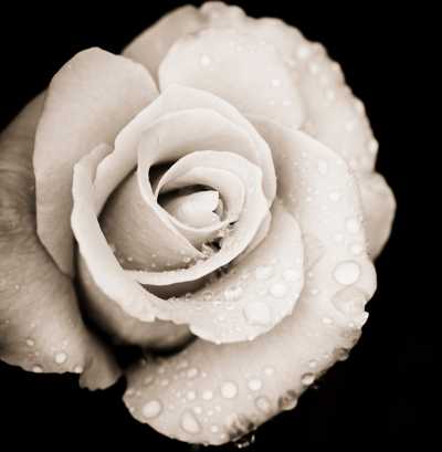 VANNER, Margery may