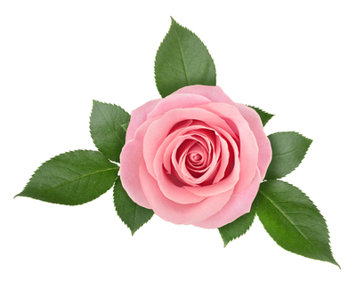 PROCTOR, James Patrick (Jim)