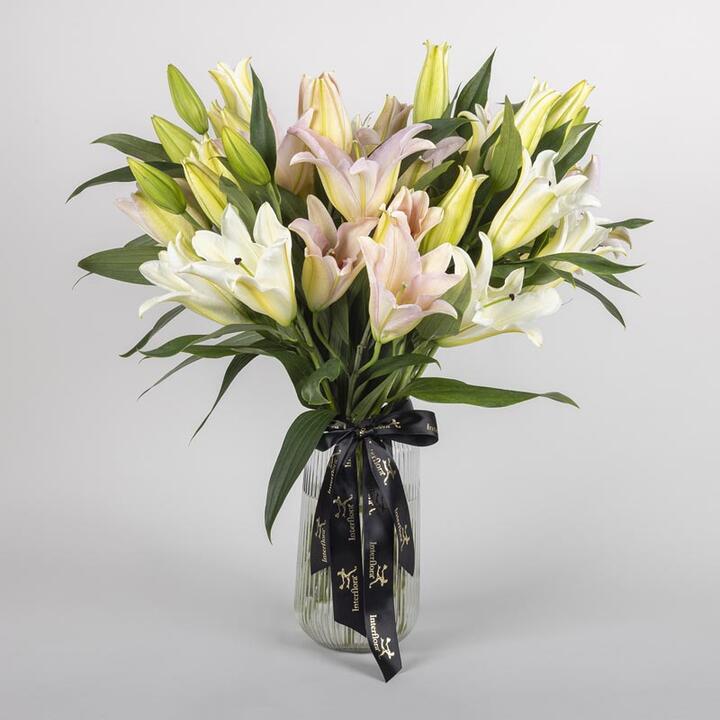 The Lilies En Masse arrangement is an exquisite showcase of fresh oriental lilies in soft, elegant...