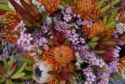 HOLNESS, Betty Lorraine