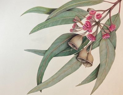 LOBBE, Barbara Ruth