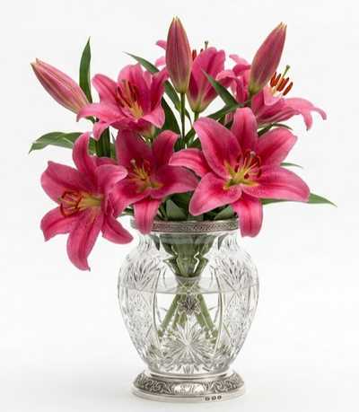 CROSSMAN, Yvonne Dorothy