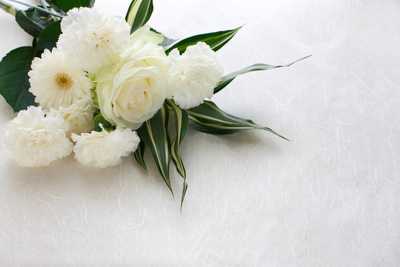 JAMES, Lorraine Elda