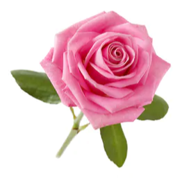 KIRWAN, Beverley Anne