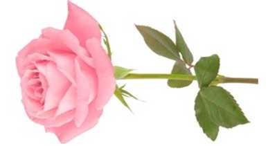 BELL, Ethel Jean