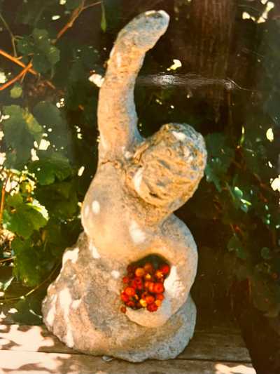 WITHERS, Wendy Joy