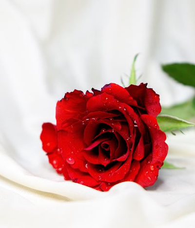 GAFFNEY, Teresa Marie
