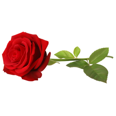 WOODROFF, Elaine Pricilla