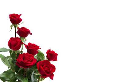 BURNS, Lesley Winifred