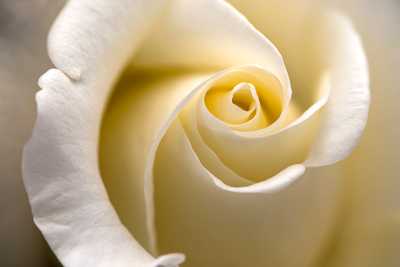 CARLTON, Kathleen Mary (Kate)