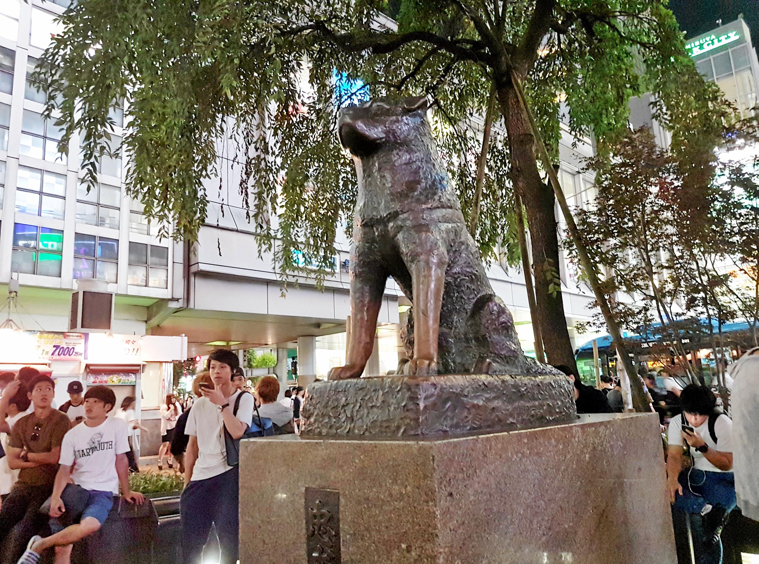 Hachiko was immortalised in bronze for his lasting legacy of loyalty. Photo: