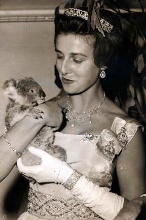 Princess Alexandra cuddles a koala at a state reception in her honour at Cloudland in August 1959.