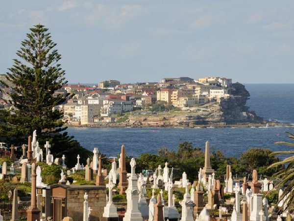 The history of Waverly Cemetery