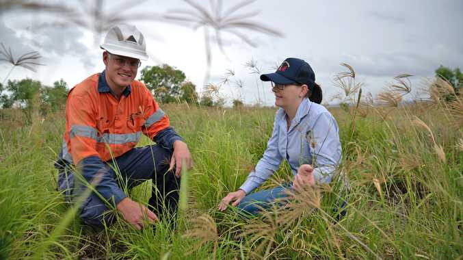 SUSTAINABILITY: Senior environmental adviser Brooke Topp and community liaison officer Rebecca Meacham inspect rehabilitation progress at the New Acland mine, north-west of Toowoomba in Queensland.