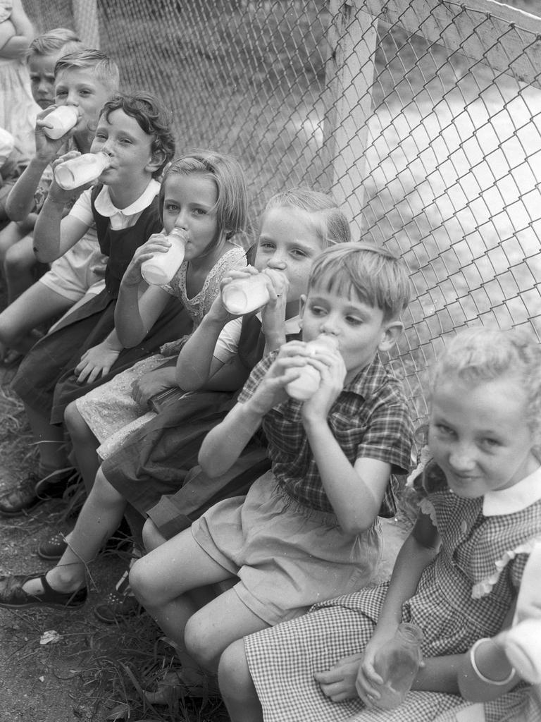 Some of the 60,000 school children who collected their third of a pint of milk on the first day of the free milk scheme in Brisbane schools. Picture by A. Pascoe. C957.41. The Courier-Mail Photo Archive.
